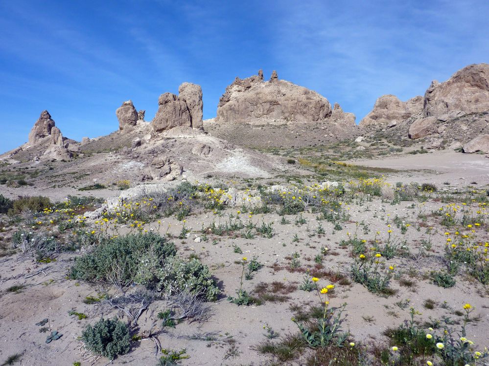trona (25).JPG